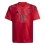 adidas FCB H JSY Y Fu�balltrikot