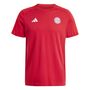 adidas Fcb Dna Tee - tepore