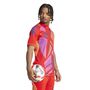 adidas T24 P Gk Jsy Torwarttrikot