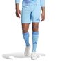 adidas T24 P Gk Sho Torwartshorts