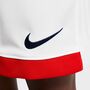 Nike Psg Paris Saint-GermainY Nk Df Short Stad Aw Fu�ballshorts