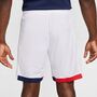 Nike Paris Saint-Germain 2024/25 Stadium Away Nike Replika-Fu�ballshorts mit Dri-FIT-Technologie (Herren)