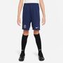 Nike Psg Paris Saint-GermainY Nk Df Acdpr Short Kz Esn Fu�ballshorts 