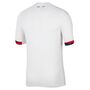 Nike Paris Saint-Germain 2024/25 Stadium Away Nike Dri-FIT Replika-Fu�balltrikot f�r Herren