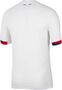 Nike Paris Saint-Germain 2024/25 Stadium Away Nike Dri-FIT Replika-Fu�balltrikot f�r Herren