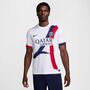 Nike Paris Saint-Germain 2024/25 Stadium Away Nike Dri-FIT Replika-Fu�balltrikot f�r Herren