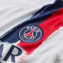 Nike Paris Saint-Germain 2024/25 Stadium Away Nike Dri-FIT Replika-Fu�balltrikot f�r Herren