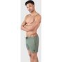 Brunotti Iconic-N Men Swim Shorts - vintage green