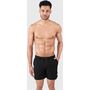 Brunotti Iconic-N Men Swim Shorts - black
