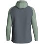 Jako Kapuzenjacke Iconic - anthra light/mintgr�n/soft grey