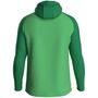 Jako Kapuzenjacke Iconic - soft green/sportgr�n