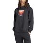 adidas Graphic Hoodie Kapuzenpullover