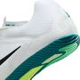 Nike Zoom Rival Sprint Spikes