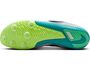Nike Zoom Rival Multi Leichtathletikschuh