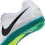 Nike Zoom Rival Multi Leichtathletikschuh