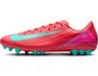 Nike Zoom Vapor 16 Academy Ag Fu�ballschuhe