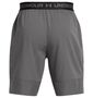 Under Armour Ua Vanish Woven 8In Shorts - castlerock