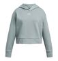 Under Armour Ua Rival Fleece Hoodie - silica green