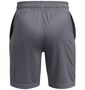 Under Armour Ua Tech Logo Shorts - castlerock
