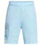 Under Armour Ua Tech Summer Short - stream