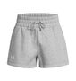 Under Armour Ua Icon Fleece Boxer Short - mod gray light heather