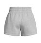 Under Armour Ua Icon Fleece Boxer Short - mod gray light heather