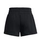 Under Armour Ua Icon Fleece Boxer Short - black