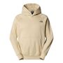 The North Face M Raglan Box Nse Hoodie - gravel/smokey brown