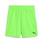 Puma teamGOAL Shorts Jr - gr�n