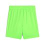 Puma teamGOAL Shorts Jr - gr�n
