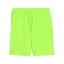 Puma teamGOAL Shorts - gr�n