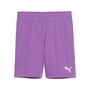 Puma teamGOAL Shorts - violett