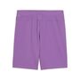 Puma teamGOAL Shorts - violett