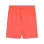 Puma teamGOAL Shorts - orange