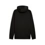 Puma PUMATECH Hoodie DK - schwarz