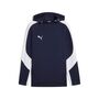 Puma teamEVOSTRIPE Hoody - blau
