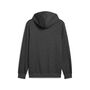 Puma ESS No. 1 Logo Hoodie FL - grau