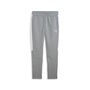 Puma teamEVOSTRIPE Pants - grau