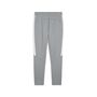 Puma teamEVOSTRIPE Pants - grau
