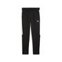 Puma teamEVOSTRIPE Pants - schwarz