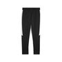 Puma teamEVOSTRIPE Pants - schwarz