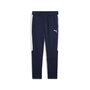 Puma teamEVOSTRIPE Pants - blau