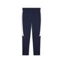 Puma teamEVOSTRIPE Pants - blau