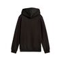 Puma ESS No. 1 Logo Hoodie FL B - schwarz