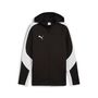 Puma teamEVOSTRIPE Hooded Jacket - schwarz