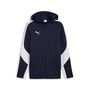 Puma teamEVOSTRIPE Hooded Jacket - blau