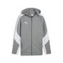 Puma teamEVOSTRIPE Hooded Jacket - grau