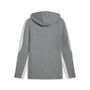 Puma teamEVOSTRIPE Hooded Jacket - grau