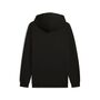 Puma ESS Small No. 1 Logo Hoodie FL - schwarz