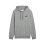 Puma ESS Small No. 1 Logo Hoodie TR - grau